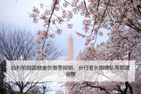 哈利伯顿跟腱重伤赛季报销，步行者长期建队策略需调整