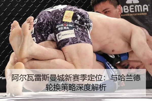 a-er-wa-lei-si-man-cheng-xin-sai-ji-ding-wei-yu-ha-lan-de-lun-huan-ce-lve-shen-du-jie-xi-2-307.jpg
