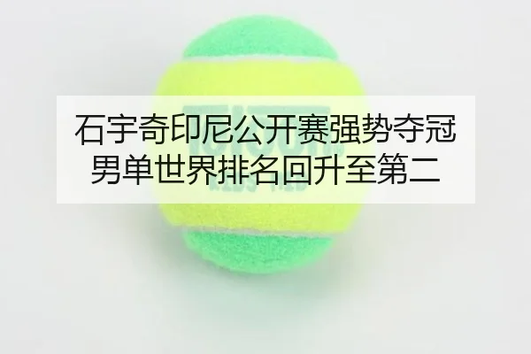 shi-yu-qi-yin-ni-gong-kai-sai-qiang-shi-duo-guan-nan-dan-shi-jie-pai-ming-hui-sheng-zhi-di-er-2-884.jpg