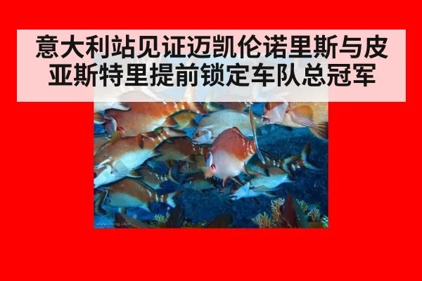 意大利站见证迈凯伦诺里斯与皮亚斯特里提前锁定车队总冠军